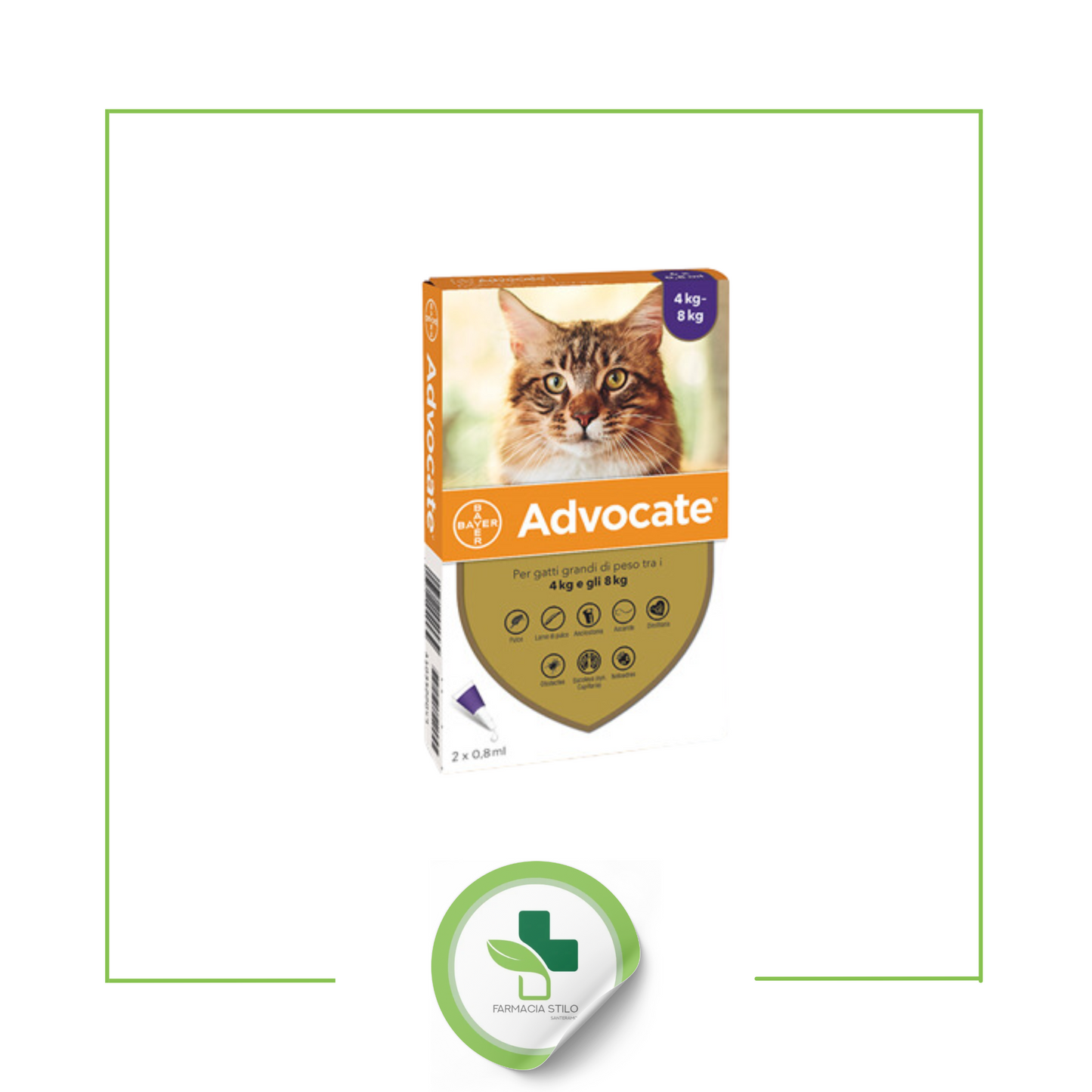 ADVOCATE SP*2PIP 4-8KG GATTI