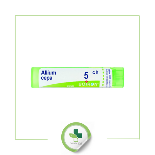 ALLIUM CEPA 5CH GR